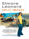 Split Images (eBook)